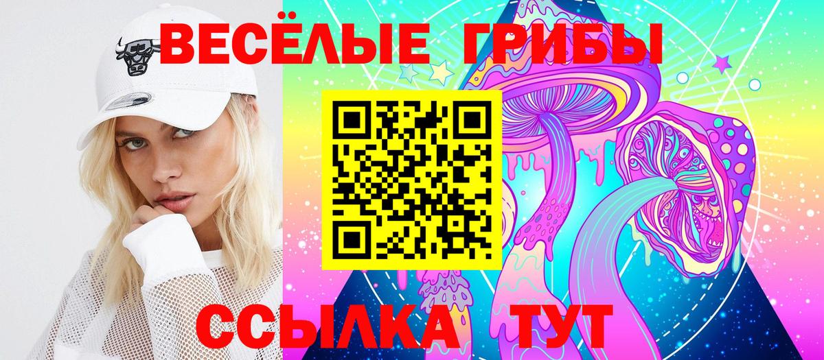 дарнет шоп  Вход с VPN  Гагарин  Псилоцибиновые грибы прущие грибы 