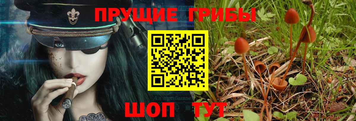 Псилоцибиновые грибы мухоморы Гагарин